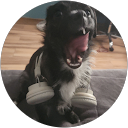 Nasashiii profile picture